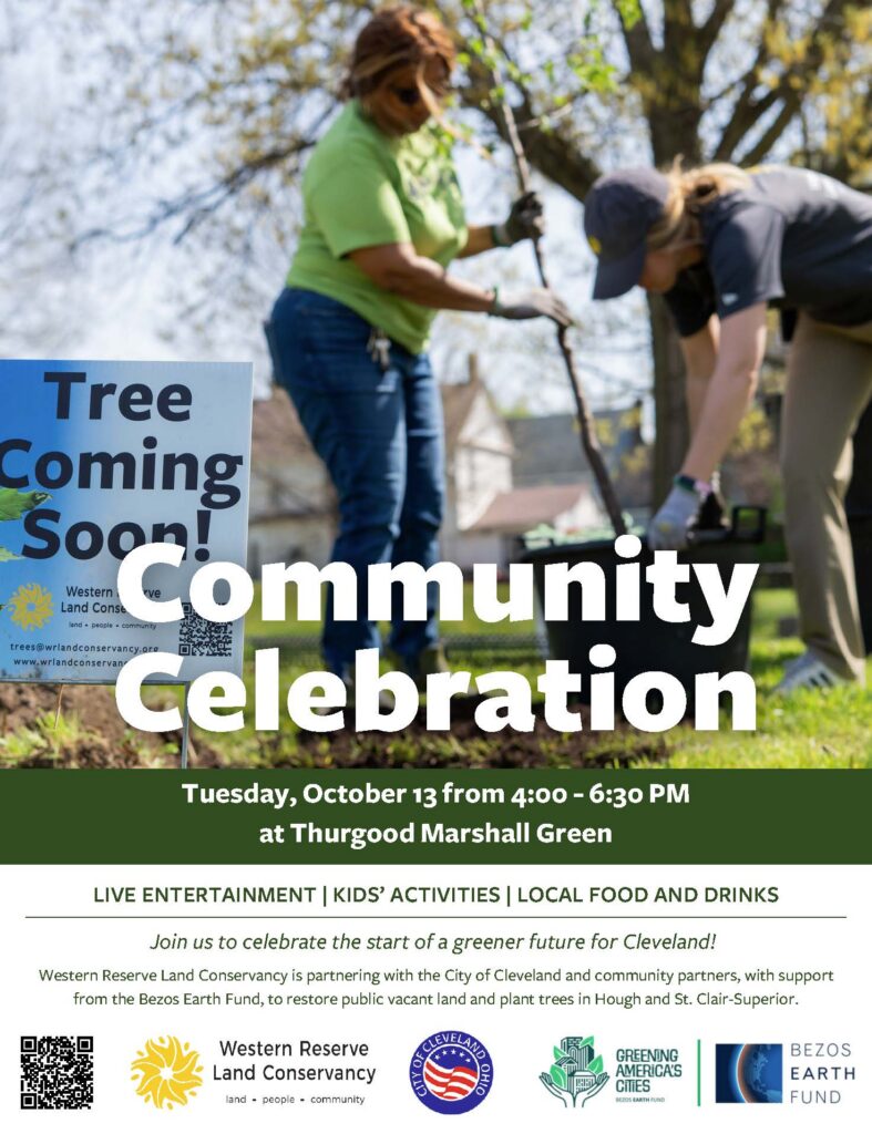 BEF Launch Event Flyer_FINAL